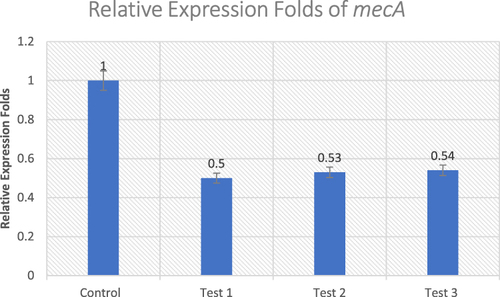 Figure 2 Effect of Ruta graveolens extract on the transcriptional level of mecA gene in untreated control and treated MRSA isolates.
