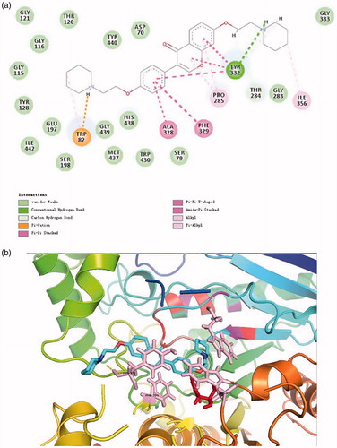 Figure 4. (a) 2D schematic diagram of potential interactions between compound 16 and BuChE. (b) The predicted binding mode of compound 16 with BuChE.