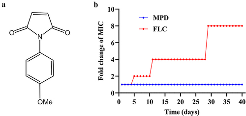 Figure 1. The structure and drug resistance development of MPD. (a) The chemical structure of 1-(4-methoxyphenyl)-1hydro-pyrrole-2,5-dione (MPD). (b) Drug resistance development test of MPD and FLC against C. albicans YEM30 using consecutive treatment of 1/2 MIC of MPD or 1/2 MIC of FLC.