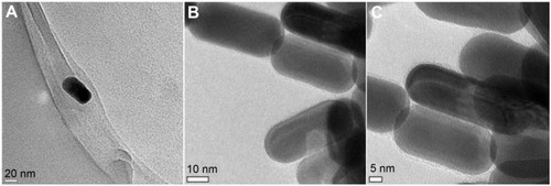 Figure 2 Transmission electron microscope images of AuNRs (A) and intermediate SiO2-AuNRs, showing a silica shell thickness of around 3 nm (B and C).