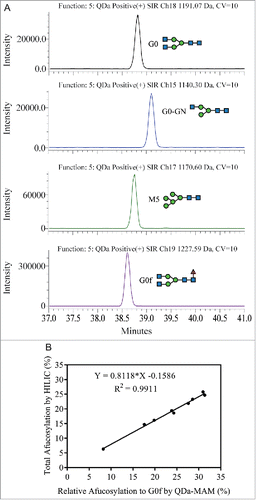 Figure 3. (A) Glycopeptides with G0, G0-GN, M5, and G0f were monitored by SIR between 37 to 41 min. (B) Linear correlation was confirmed between the total afucosylation measured by HILIC and the relative afucosylation to G0f measured by QDa-based MAM.