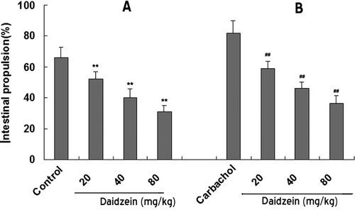 Figure 4.  Effects of daidzein on intestinal propulsion in (A) normal contractile state and in (B) high contractile state (pretreated with carbachol). Each column represents the mean ± SEM (n = 6). **p < 0.01 compared with the propulsion before the treatment of daidzein (normal control). ##p < 0.01 compared with the carbachol-induced propulsion before the treatment of daidzein (carbachol control).