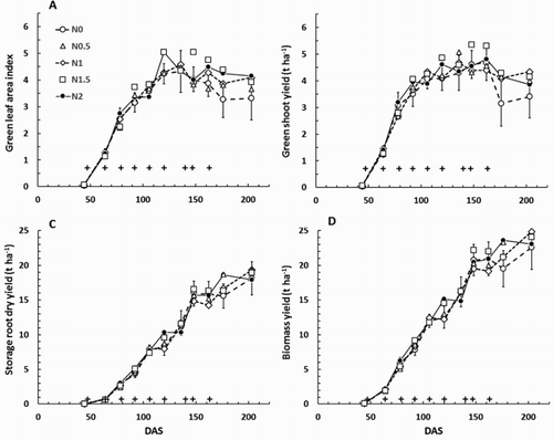 Figure 7. Carrot crop growth through Expt 1415; A, Green leaf area index (LG); B, Green shoot dry yield; C, Storage root dry yield; and D, biomass yield. DAS = days after sowing. On each graph the crosses indicate times when nitrogen fertiliser was applied. Treatment means for the control (N0) treatment are plotted ± the mean standard error (MSE) from the analysis of variance for that day (using plant population and replicate block as covariates). The 95% confidence interval for separation between treatment means is approximately 2×MSE.