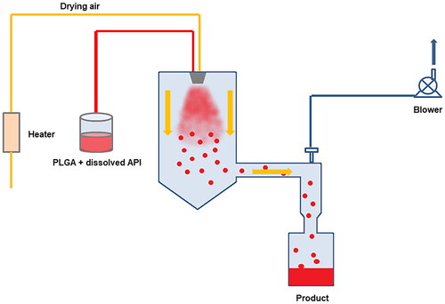 Figure 6. Schematic diagram of the spray drying process.