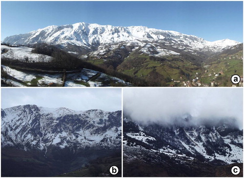 Figure 4. (a) The east hillside of the Aramo on February 10, 2015. (b) Snow avalanches in the central sector of the hillside (Riosa) on 22 February 2016 and (c) in the forests of the north zone (Morcín) on 28 January 2015.