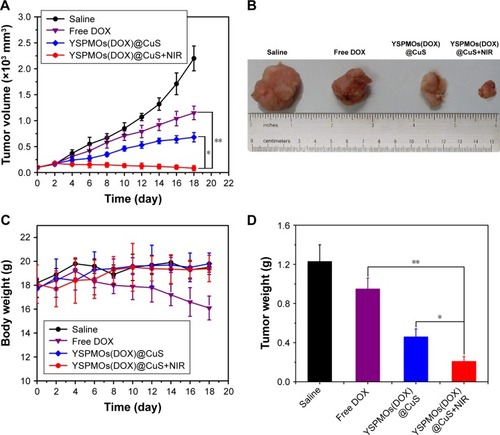 Figure 6 In vivo antitumor activity.Notes: (A) Tumor growth curves of mice after various treatments. (B) Photographs of tumor blocks collected from different treatment groups of mice on day 18. (C) Body weight changes of mice in different treatment groups within 18 days. (D) The tumor weights at the end of therapy on day 18. (E) Representative H&E sections of tumors after different treatments. *p<0.05, **p<0.01.Abbreviations: H&E, hematoxylin and eosin; YSPMOs, yolk–shell-structured periodic mesoporous organosilica nanoparticles.