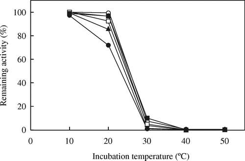 Fig. 7. Thermostability of wild-type and mutated CmICLs.Note: The thermostabilities of ICL activities were assayed at 20 °C after incubation at the indicated temperatures for 10 min and further incubated on ice for 10 min. The remaining activities are expressed as percentages of ICL activity without incubation. Symbols are the same as in Fig. 5.
