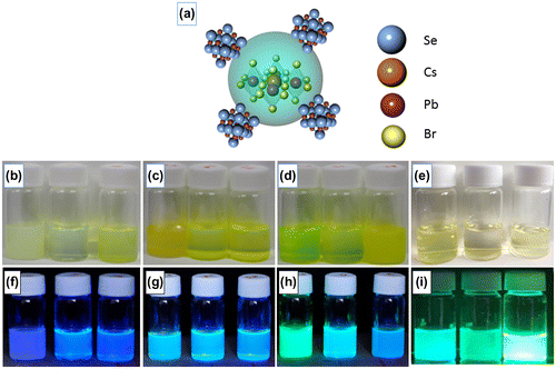 Figure 1. (a) Schematic of the expected CsPbBr3/PbSe nanocomposite structure. Photographs of CsPbBr3/PbSe nanocomposite in hexane solution under normal ((b)–(d)) and UV ((f)–(h)) illumination with Cs:Se ratios of 1:1, 1:2, and 1:3 synthesized at 150 °C ((b), (f)), 170 °C ((c), (g)) and 190 °C ((d), (h)) from left to right, respectively. For comparison, the photographs of pristine CsPbBr3 under (e) normal and (i) UV illumination are also shown.
