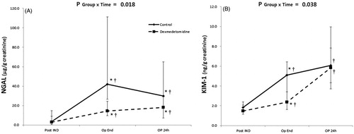 Figure 3. Perioperative urinary biomarkers. Serial changes in urine neutrophil gelatinase-associated lipocaline (NGAL)/creatinine ratio (A) and kidney injury molecule (KIM)-1/creatinine ratio (B). PostIND: after induction of anesthesia; OpEnd: immediately after surgery; OP 24 h: 24 h after surgery. P Group × Time = p values of the group and time interaction obtained by the Brunner–Langer model. *p < .05 versus control group; †p < .05 versus before surgery. The values are expressed as median with IQR.