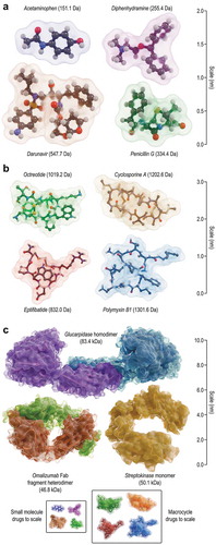 Figure 1. Examples of currently approved molecular therapeutics. (A) Examples of small-molecule drugs, most of which are under 500 Da and less than 1 nm in size, shown as ball-and-stick models with transparent molecular surfaces. Clockwise from top left, Cambridge structural database (CSD) crystal structures COTZAN03, JEMJOA01, BZPENK01, and APUYOA are shown. (B) Examples of peptide macrocycle drugs, of which only 20 are approved for clinical use. Molecules are shown as ball-and-stick models (with apolar hydrogen atoms omitted for clarity) and transparent molecular surfaces. Clockwise from top left, CSD structures YICMUS and DEKSAN, and PDB structures 5L3 F (chain C) and 2VDN (chain C) are shown. (C) Examples of protein drugs, shown as ribbons and molecular surfaces. Clockwise from top, PDB structures 1 CG2 (chains A and B), 1BML (chains C and D), and 5HYS (chains C and D). Insets: small-molecule and peptide macrocycle drugs from panels A and B, respectively, shown to scale.