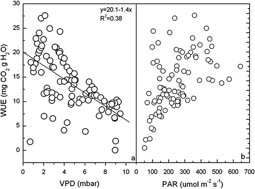 Fig. 7  The relationship between VPD, PAR and WUE of wheat on typical cloudy days during the growth season of wheat at Yucheng.
