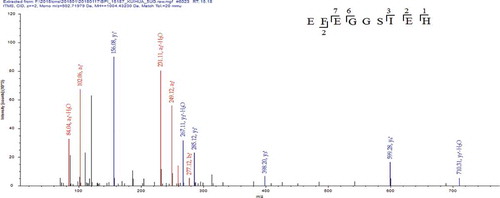 Figure 6. MS/MS spectrum of the peptide EFEGGSIEH. (MS/MS represents secondary mass spectrometry).Figura 6. Espectro MS/MS del péptido EFEGGSIEH. (MS/MS representa la espectrometría de masas secundaria).
