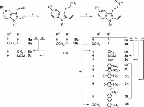 Scheme 2 Synthesis of 2-vinyltryptamines. Reagents: i: LiAlH4; ii: CH3I, CH2Cl2-NaOHaq; iii: MOMCl, CH2Cl2-NaOHaq; iv: NaH, MOMCl; v: Boc2O, DMAP; vi: HCOHaq, NaBH3CN, AcOH; vii: NaH, ArSO2Cl.