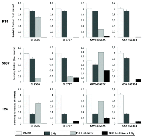 Figure 5. Clonogenic survival assay of bladder carcinoma cell lines exposed the different PLK1 inhibitors for 24 h and then irradiated with 2 Gy. Treatment significantly radio-sensitized cells. Each value represents the mean derived from at least three individual experiments in duplicate (mean ± SD). Dose enhancement ratios are described in Table 3.