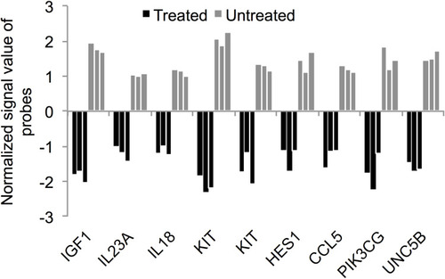 Figure 5 ZnO NPs targeted pathways that promote cellular proliferation and survival. ZnO NPs reduced the expression of genes (FC≥4; p≤0.008; corrected p≤0.05) that significantly enriched “positive regulation of tyrosine phosphorylation of STAT protein” (IGF1, IL18, IL23A, KIT, CCL5 and HES1), “positive regulation of receptor signaling pathway via JAK-STAT” (IGF1, IL18, IL23A, KIT, CCL5 and HES1) and “positive regulation of phosphatidylinositol 3-kinase signaling” (IGF1, PIK3CG, IL18, KIT, CCL5 and UNC5B). The gene expression data were shown from three ZnO NPs-treated K562 samples and three untreated K562 samples. The normalized signal value of probes was generated by log2 transformation and 75 percentile shift normalization of the raw data.