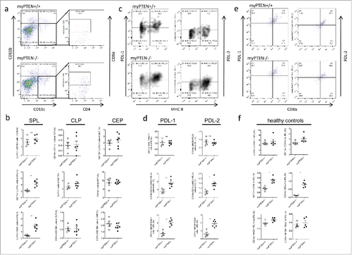 Figure 3. Myeloid PTEN-deficiency increases CD8a+DCs in the spleen. (A) Representative dot plots for identification of CD8α+DCs (gated on live, CD45+ CD3− cells). (B) Quantification of myeloid subsets (CD11c+CD11b+; CD11c+CD11b− and CD11c+CD8a+ cells in spleen-SPL, colon lamina propria-CLP and colon epithelium-CEP), values are expressed as % of live cells, n = 4–6, *p < 0.05, **p < 0.01. (C) Representative density plot for identification of CD11c+ MHCII+PDL-1+ and PDL-2+ cells, respectively (gated on live, CD45+CD11c+CD11b−). (D) Quantification of myeloid MHCII+ PDL1+ and PDL2+ cells (gated on live, CD45+) in the spleen, values are expressed as % of live cells, n = 4–6, *p < 0.05, **p < 0.01. (E) Splenic CD11c+ MHCII+APCs co-express CD8α and PDL-1 or PDL-2, respectively, (F) Myeloid subsets and immune checkpoint inhibitors in naive healthy mice, gating as in (A) or (C), respectively, values are expressed as % of live cells, n = 4–5, *p < 0.05.