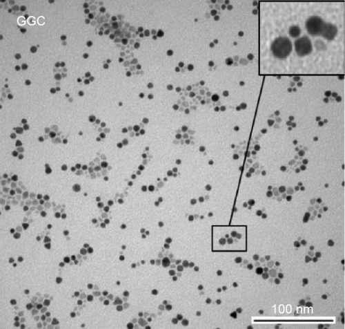 Figure 3 TEM image of the iron oxide core in GGC.Notes: Magnification 75,000×. Reproduced from Shi D, Sun LL, Mi G, et al. Controlling ferrofluid permeability across the blood-brain barrier model. Nanotechnology. 2014; 25(7):075101. © IOP Publishing. Reproduced with permission. All rights reserved.Citation21Abbreviations: GGC, glycine, glutamine acid, and collagen; TEM, transmission electron microscopy.