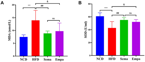 Figure 3 Comparison of MDA (A) and SOD (B) in the indicated groups, (n =7).“ns”P ≥ 0.05, ***P < 0.001, ****P < 0.0001 NCD vs HFD, ##P < 0.01 HFD vs Sema, &P < 0.05 HFD vs Empa.