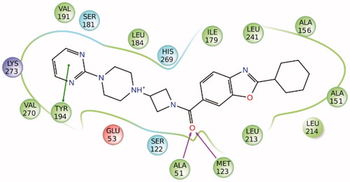 Figure 1. Schematic representation of the ZYH-MAGL interactions. Hydrophobic, polar, negative and positive charged residues are coloured green, sky blue, red, and violet, respectively.