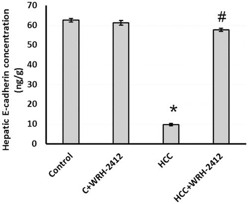 Figure 6. Effect of 5 mg/kg WRH-2412 on hepatic protein level of E-cadherin. Values are expressed as the mean ± SEM, *p < 0.05 vs. control; #p < 0.05 vs. HCC group; HCC: hepatocellular carcinoma; C; control.