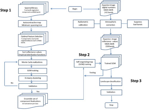 Figure 3. Flowchart for the unsupervised landscape mapping of tropical soils and vegetation.