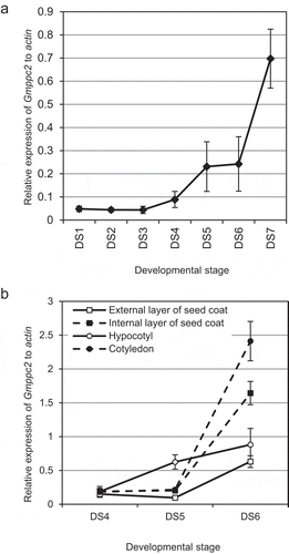 Figure 2. The results of the gene expression analysis in developing seeds by quantitative RT-PCR. (a) The gene expression pattern of Gmppc2 in whole seeds. Horizontal axis: The relative expression level of Gmppc2. Vertical axis: The sample stage. Error bar: Standard Standard error (SE). (b) The gene expression of Gmppc2 in separated seed tissues. Error bar: SE.