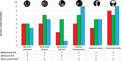 Figure 3. Number of nature’s contributions to people (NCP) identified by each actor.