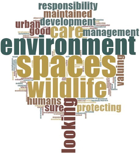 Figure 5. Word cloud created with the definitions of ‘stewardship’. Prepared by the authors with NVivo Software.