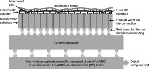 Figure 1 Cross sectional schematic of the overall device concept. A MEMS DM is anchored by attachment posts to a large array of electrostatic actuators. Actuators consist of compliant electrodes suspended over fixed electrodes. When voltage is applied to a fixed electrode, the corresponding compliant electrode deflects, exerting a force on the mirror through the attachment post. Electrical connection to the fixed electrode array is made using through-wafer vias that transect the silicon wafer. Each via is comprised of an electrically conductive core and an insulating sleeve. On the bottom side of the wafer, each via terminates on a conductive pad. Gold hemispherical bumps are deposited on the pads through a high-yield ultrasonic/thermal deposition technique. These bonds are fused to corresponding bumps on a custom-manufactured ceramic interposer through a precise “flip chip” process in which mating gold bumps are aligned, heated, and compressed. The interposer, in turn, is flip-chip bonded to a high voltage electronic drive circuit that can be directly controlled by a computer.