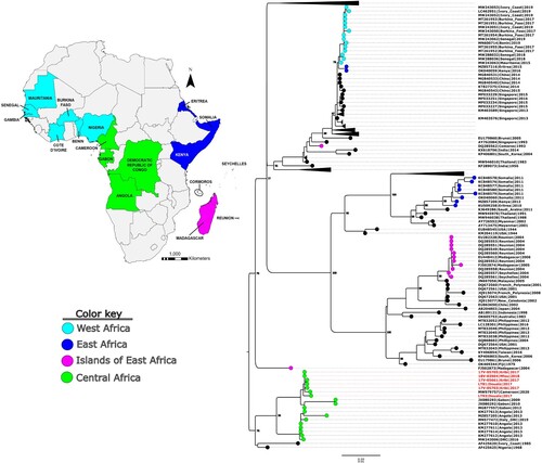 Figure 2. Molecular phylogenetic analysis of a subset of global DENV-1 partial E sequences alongside the Cameroon 2017–2018 outbreak strains (in red text). Tree model inference and phylogeny were simultaneously conducted in IQ-TREE v1.6.1, executing 1000 bootstrap replicates. The geographical origins of the major African clusters are colour coded and indicated in the inset map. Critical nodes are labelled with bootstrap values. The tree was visualized in FigTree v1.4.4.