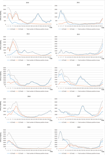 Figure 2. Influenza virus epidemic cycle.