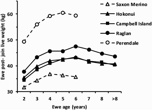 Figure 2. Effect of ewe age on mean live weight post-joining in April/May pooled over grazing locations for the three feral flocks, and the two domesticated flocks: Saxon Merino (Sumner & Henderson Citation2013; R. M. W. Sumner, unpubl. data); and Perendale (Sumner et al. Citation2012) grazed conjointly with the feral flocks. Standard error of difference range = 0.6–2.8 kg.