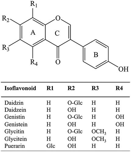 Fig. 3. Structure of some isoflavonoids, in which their structures are similar to daidzin.