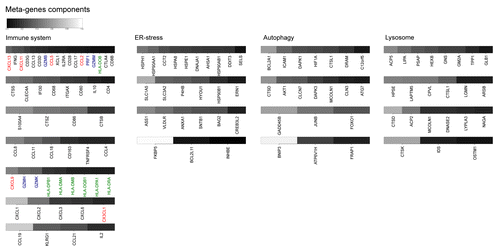 Figure 2. Salient features of reproducible metagenes. Listed are the most important genes contributing to metagenes defined as highly or median-reproducible in Figure 1. The relative weight of the listed individual mRNA species within each metagene is gray-coded and reflect the correlation coefficient (“component” column of metagene-associated genes listed in Tables S1–4). Shown are only those genes whose coefficient is above 0.14. Genes related to the tumor-associated immune microenvironment are highlighted: red = cytokines, blue = natural killer, green = human leukocyte antigen.