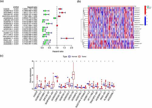 Figure 1. EMT-related lncRNAs in pancreatic cancer. (a) Univariable Cox regression analysis of EMT-related lncRNAs (b, c) Expression of EMT -related lncRNAs predicting overall survival between tumor and normal samples