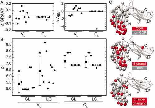 Figure 3. Mutational effects on the biochemical and structural properties of the LC proteins. (A) Analysis of the hydrophobicity (GRAVY) and aggregation propensity (AGG). Shown are the difference values ΔGRAVY and ΔAGG between the LC proteins and their respective GL proteins separately for the VL and CL. (B) Analysis of the pI values. Shown are the individual pI values and the mean pI values of the LC proteins and their respective GL proteins separately for the VL and CL. Asterisks indicate a significant difference. (C) Location of mutations in a natively folded LC (PDB: 6QB6). Colour coding as indicated.