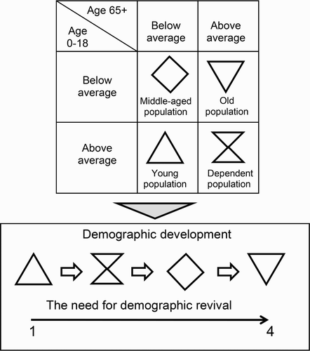 Figure 1. Demographic structure and its stages of development.