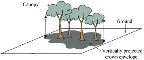 Figure 1. Schematic illustration of canopy cover (Dyer et al. Citation2014). Canopy cover is the fraction of ground covered by the vertically projected crown envelope (gray area), which is considered solid.