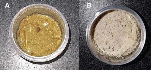 Figure 1. Dehydrated extracts (a) EOSE and (b) EOSNA.Figura 1. Extractos deshidratados (a) EOSE y (b) EOSNA