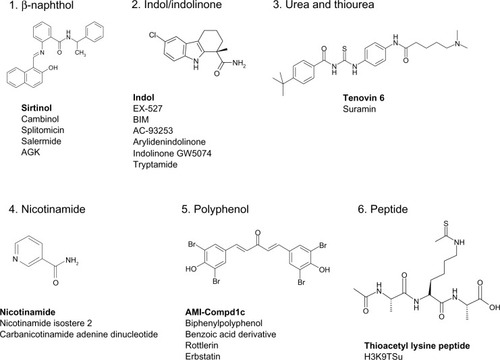 Figure 2 Various scaffolds of known sirtuin inhibitors.