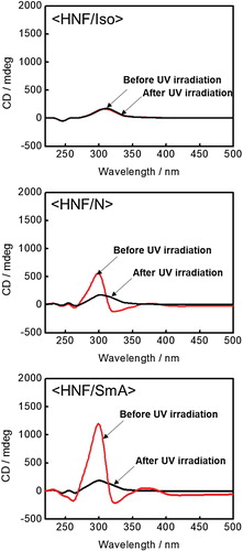 Figure 4. Typical CD profiles at the three different nanosegregated phases (<HNF/Iso>, <HNF/N>, and <HNF/SmA>).