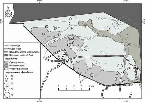 Figure 2. Distribution of large mammals in Kijereshi Game Reserve. Black circles on the map indicate the points where large mammals were observed in relation to abundance (large circle indicates the point with higher abundance). Overlapping circles indicate the point of which more than one species was encountered. Abundance in this map is referred as number of individuals.