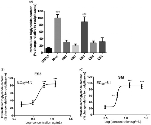 Figure 4. (A) Adipogenic activity of E. sativa extracts tested at their maximum non-toxic concentrations in 3T3-L1 adipocytes, as assessed by triglyceride content at the end of differentiation period. Two-day post-confluent preadipocytes were incubated with the plant extracts on day 0 of differentiation for 8 day. (B) and (C) are dose-response analysis of the adipogenic activities of ES3 and SM, respectively. Cells were incubated with several concentrations of ES3 (1.56, 3.12, 6.25 and 12.5 μg/mL) or SM (3.12, 6.25, 12.5 and 25 μg/mL). Data are represented as mean ± SEM and are expressed as % change in intracellular triglyceride content relative to the positive control rosiglitazone (10 μM), which was set at 100%. Assays were carried out in triplicate. **p < 0.01 and ***p < 0.001 indicate a significant difference from vehicle control. Rosi: rosiglitazone.