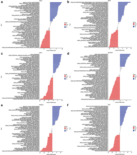 Figure 11. GSVA analysis of FDX1, NFE2L2, SLC31A1, DLST, MTF1, GLS.