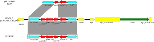 Figure 5 Schematic representation of blaIMP-87 gene context of KB-PA_3, and intI1 comparison between of pEC732-IMP, KB-PA_3 and S27-KUU; Open arrows indicate coding sequences and direction of transcription. Resistance genes (Red); transposon module (yellow); integron module (sky blue); insertion sequence of IS1017 (green). S27-KUU only reported the gene cassette array, and we add the possible integron module in the gray box. Shaded areas between the genetic elements indicate homology (≥95% identity).