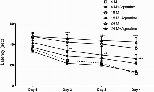 Figure 2. Escape latency (s) in MWMT results of 1–4 days by rats in young (4-month-old), middle-aged (18-month-old), aged (24-month-old) and agmatine (40 mg/kg)-treated matching groups (n = 12 rats in each group). Data were presented as mean ± SEM and **P < .01 and ***P < .001 compared to the young control group (4-month-old).