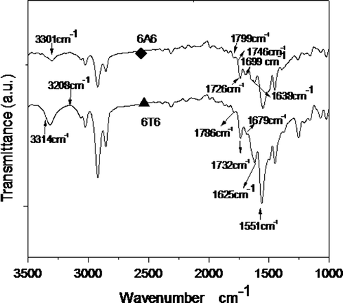 Figure 3. FT-IR spectrum of two copolymers at room temperature: ♦, A1; ▲, T1.