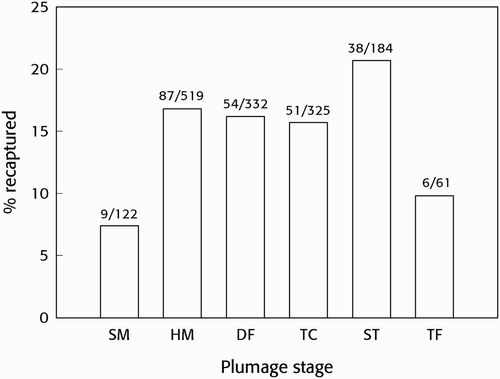 Figure 1. The proportion of Sooty Tern chicks at different plumage stages (see text) when ringed that were subsequently recaptured as breeding adults in the Bird Island colony. Figures above the columns are numbers recaptured and ringed.