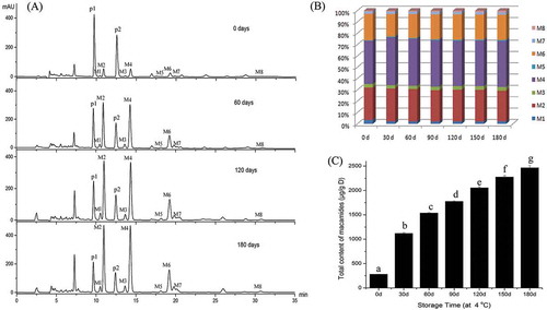 Figure 6. The HPLC chromatograms of macamides in maca samples after storage of 0, 60, 120, and 180 days (A). The composition (B) and total content (C) of macamides affected by different storage times. Different letters on the top of each column showed the statistical differences (p < 0.05).