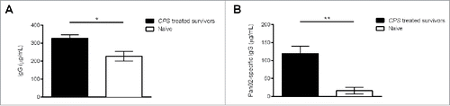 Figure 2. CPS therapy increases tumor-specific antibodies in pancreatic tumor-surviving mice. About 200 d after initial Pan02 tumor inoculation, blood serum was isolated from CPS-treated survivors or age-matched naive mice. Detection of circulating IgG (A) or Pan02-specific IgG (B) was conducted by ELISA coated with IgG detecting antibodies or with Pan02 cell lysates. *= p < 0.05, **= p < 0.01.